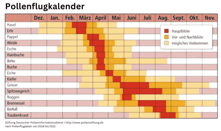 Stiftung Deutscher Polleninformationsdienst | http://www.pollenstiftung.de nach Pollenflugdaten von 2016 bis 2021 - 1 Pollenflugkalender